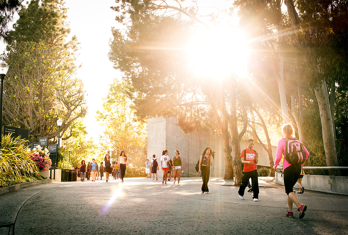 bruin walk